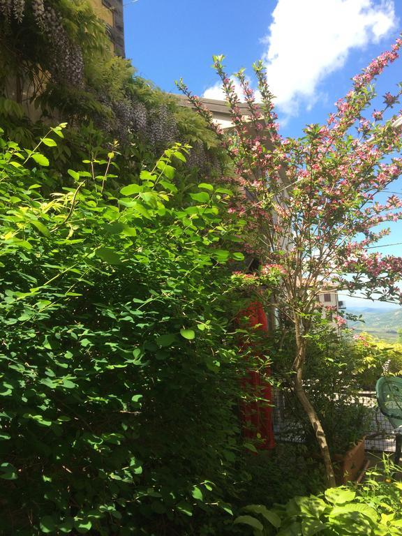 Appartamento Turistico Dal Morino Castiglione dei Pepoli Buitenkant foto